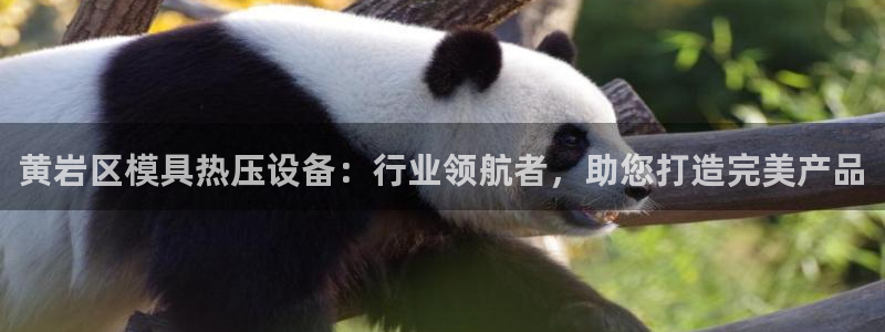 emc易倍官网app下载