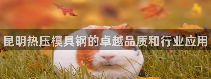 四川易倍易企业管理有限公司