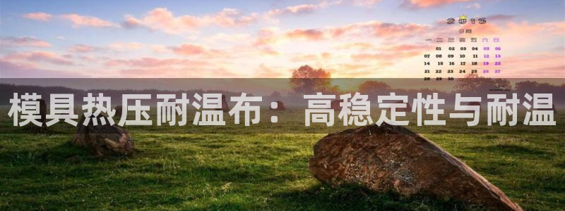 易倍纤代餐粉能减肥吗：模具热压耐温布：高稳定性与耐温