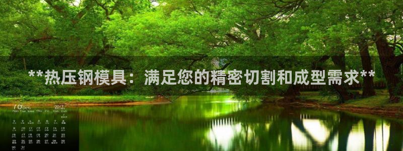 易倍达科技有限公司代运营：**热压钢模具：满足您的精密切