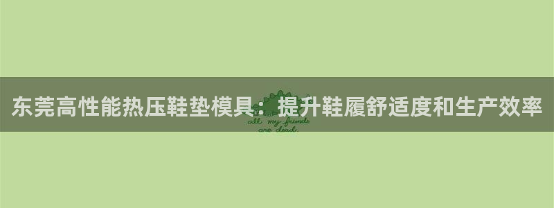 易倍达科技有限公司官网：东莞高性能热压鞋垫模具：提升鞋履