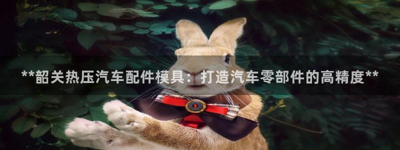 emc易倍官网首页：**韶关热压汽车配件模具：打造汽车零