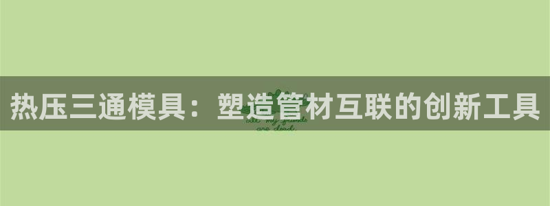 emc全站易倍：热压三通模具：塑造管材互联的创新工具
