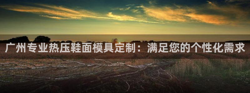 emc全站下载地址：广州专业热压鞋面模具定制：满足您的个