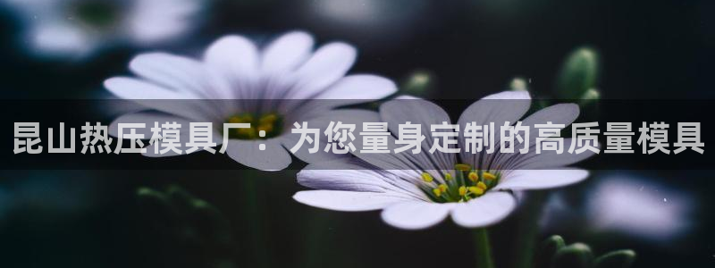 上海易倍投资有限公司：昆山热压模具厂：为您量身定制的高质