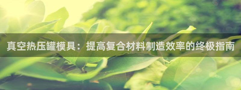 易倍单词平台：真空热压罐模具：提高复合材料制造效率的终极