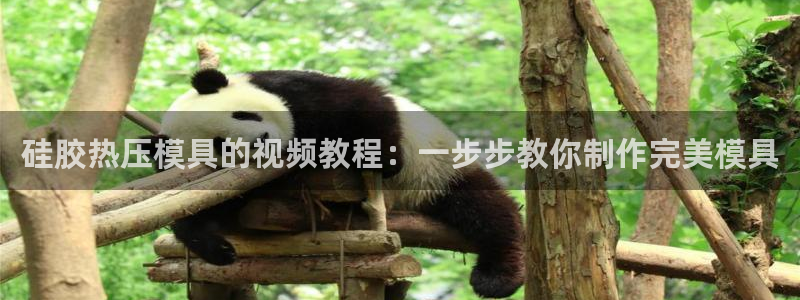 易倍单词如何下载