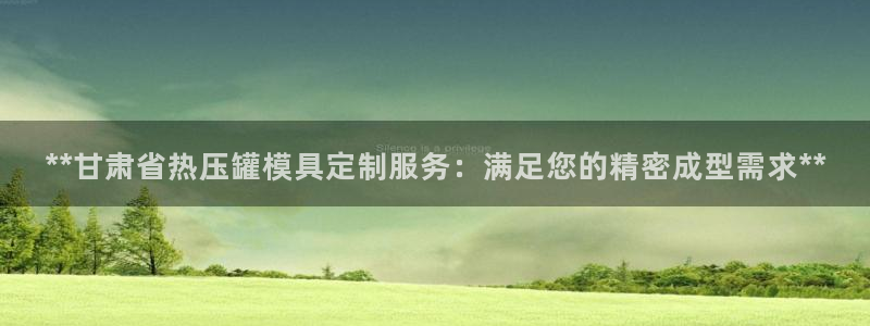易倍emc安全吗：**甘肃省热压罐模具定制服务：满足您的