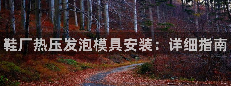 易倍达怎么样
