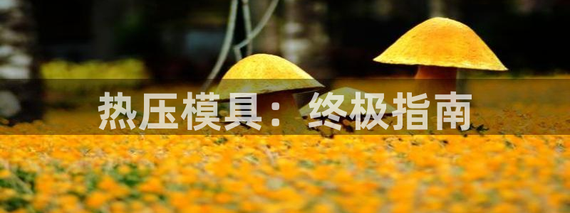 emc易倍在线登录