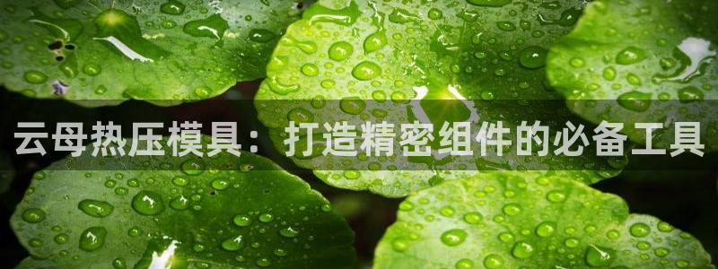 emc全站ag