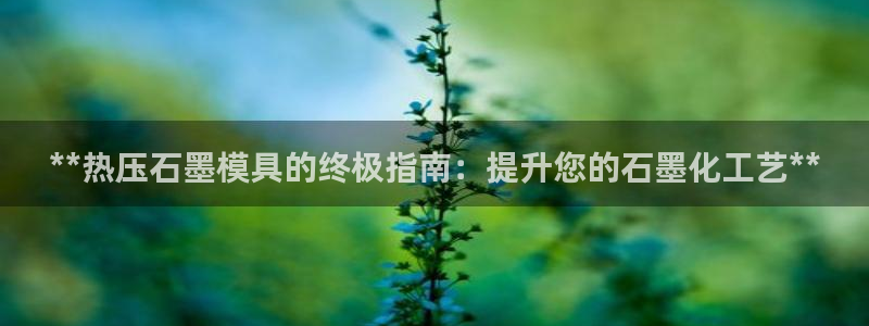易倍申的包装规格：**热压石墨模具的终极指南：提升您的石
