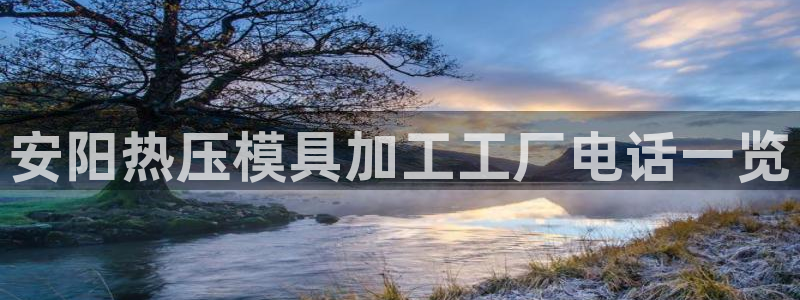 易倍申怎么样