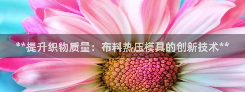 emc app下载：**提升织物质量：布料热压模具的创新