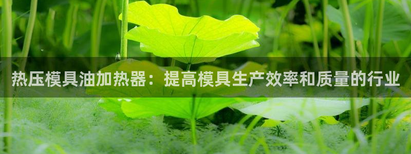易倍单词官方网站下载安卓：热压模具油加热器：提高模具生产