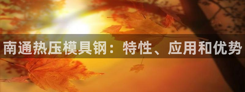 易倍网络技术有限公司是干嘛的：南通热压模具钢：特性、应用