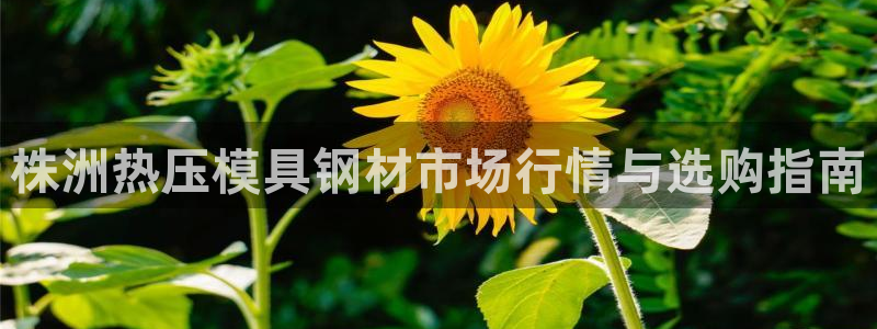 四川易倍易企业管理有限公司