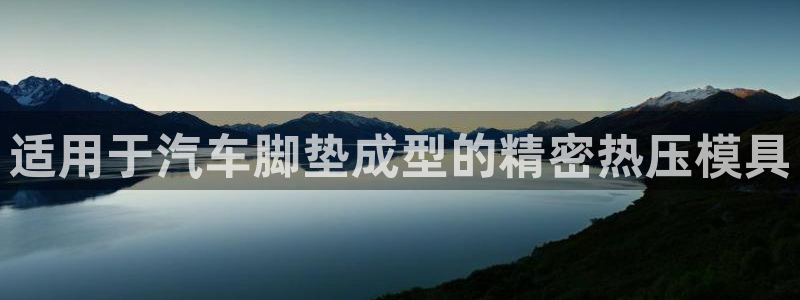 易倍思机电制造(上海)有限公司：适用于汽车脚垫成型的精密
