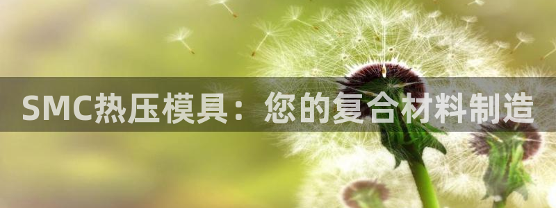 易倍思教育：SMC热压模具：您的复合材料制造