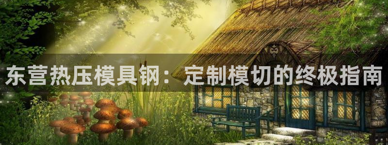emc全站ag：东营热压模具钢：定制模切的终极指南