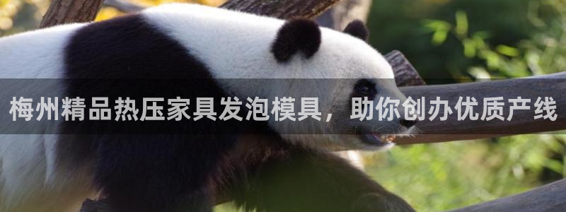 易倍纤减肥价格