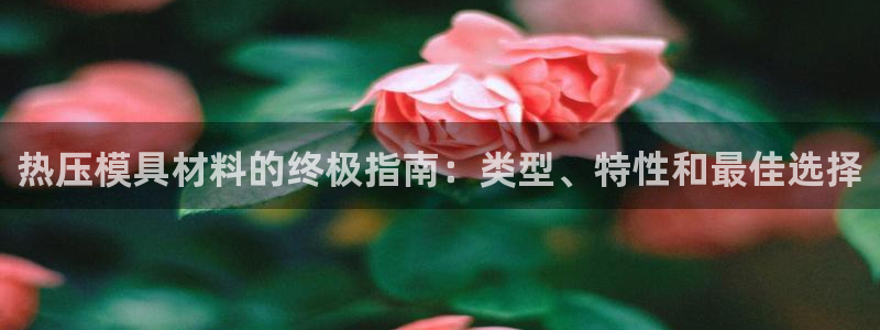 易倍网络技术有限公司招聘：热压模具材料的终极指南：类型、