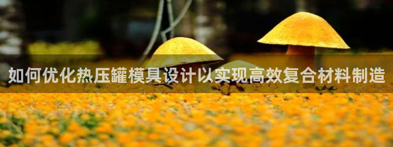 emc易倍在线登录：如何优化热压罐模具设计以实现高效复合