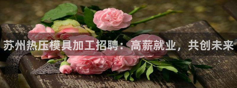 emc易倍app官网下载：苏州热压模具加工招聘：高薪就业