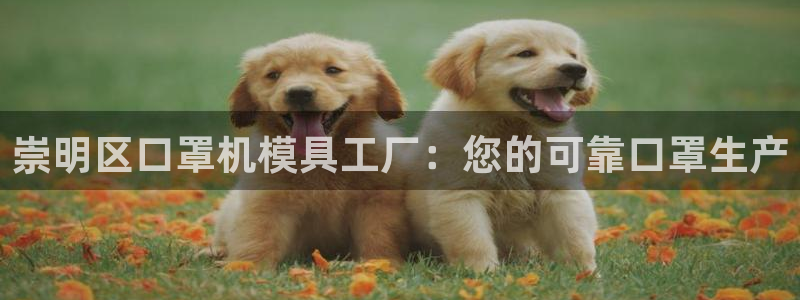 emc倍频