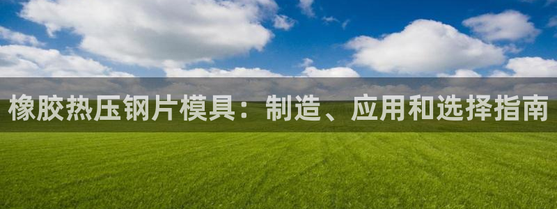 易倍申的价格