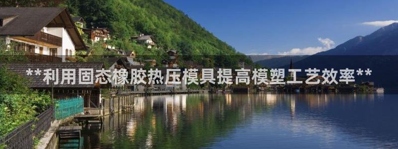 易倍申片说明书：**利用固态橡胶热压模具提高模塑工艺效率