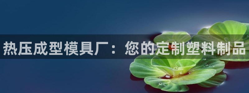 emc易倍官网：热压成型模具厂：您的定制塑料制品
