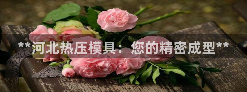 易倍emc全站：**河北热压模具：您的精密成型**