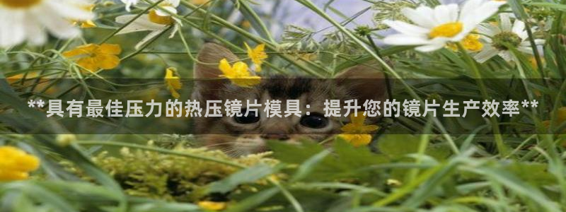 易倍申片：**具有最佳压力的热压镜片模具：提升您的镜片生