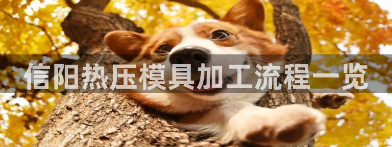 emc易倍穆里尼奥
