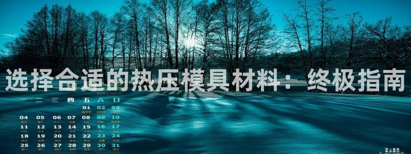 易倍纤使用方法：选择合适的热压模具材料：终极指南