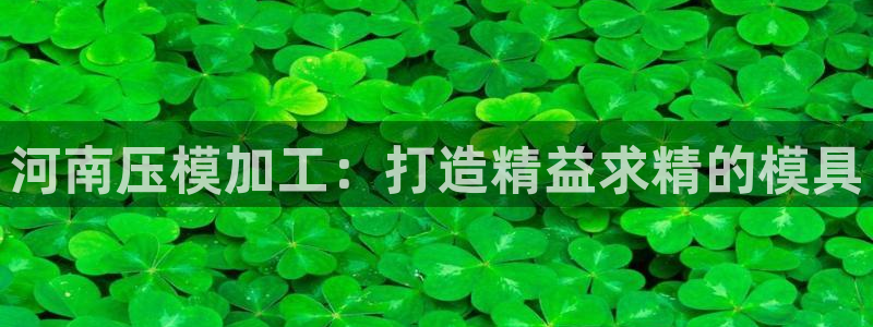 易倍单词app官网