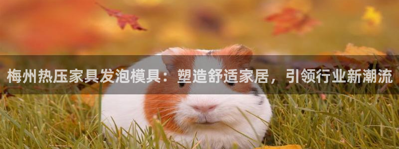 易倍单词官方网站
