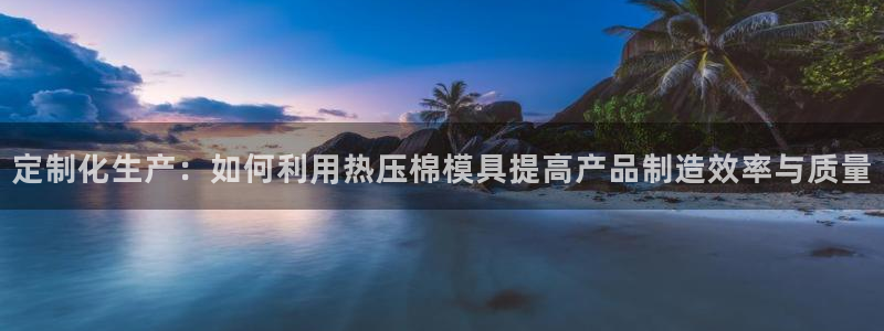 易倍纤酵素效果好吗：定制化生产：如何利用热压棉模具提高产