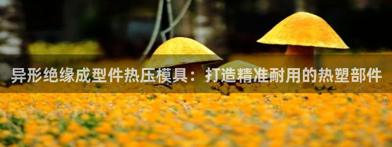 杭州易倍达科技有限公司怎么样：异形绝缘成型件热压模具：打