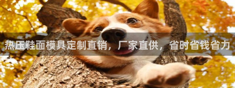 易倍申服用方法