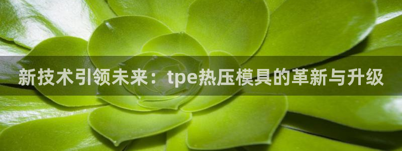 易倍纤代餐粉能减肥吗