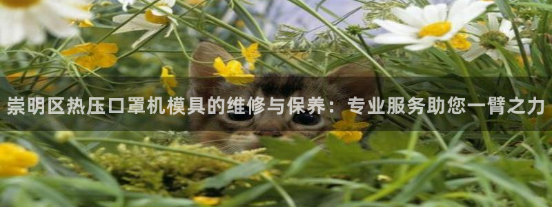 易倍申的价格