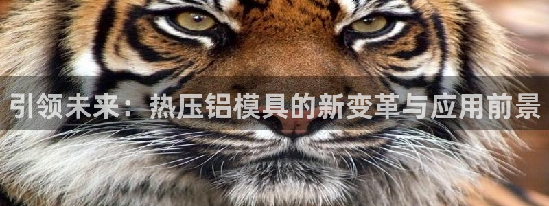 emc易倍官网登录首页：引领未来：热压铝模具的新变革与应