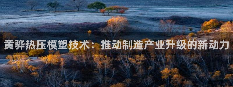 易倍纤能减肥吗：黄骅热压模塑技术：推动制造产业升级的新动
