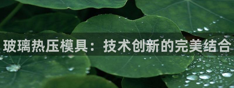 易倍申效果怎么样：玻璃热压模具：技术创新的完美结合
