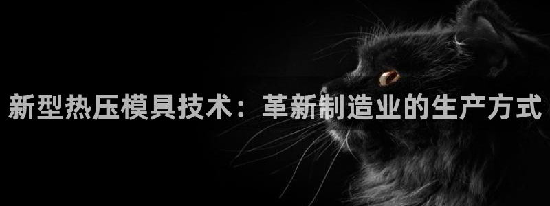 易倍申片说明书：新型热压模具技术：革新制造业的生产方式