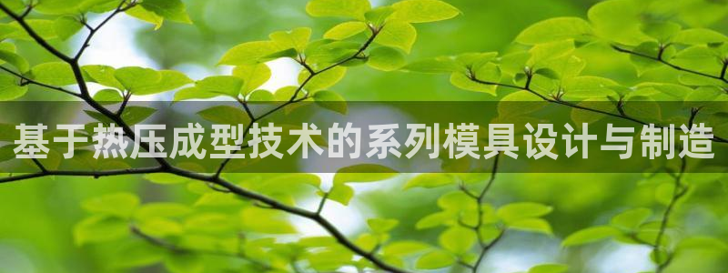 易倍单词官方网站登录：基于热压成型技术的系列模具设计与制