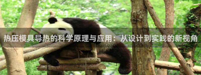 易倍申可以长期服用吗：热压模具导热的科学原理与应用：从设