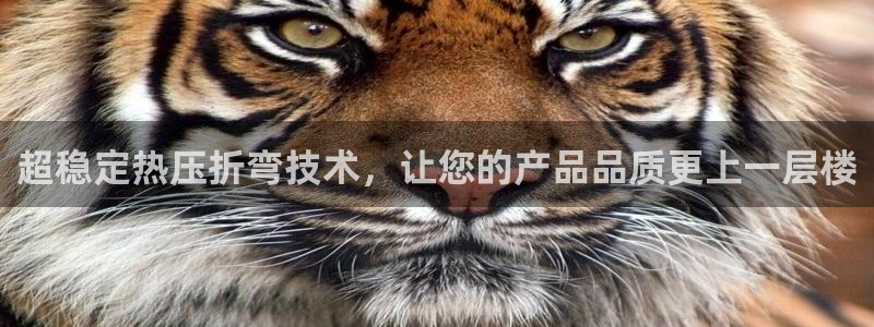易倍纤谷物粉效果好吗：超稳定热压折弯技术，让您的产品品质